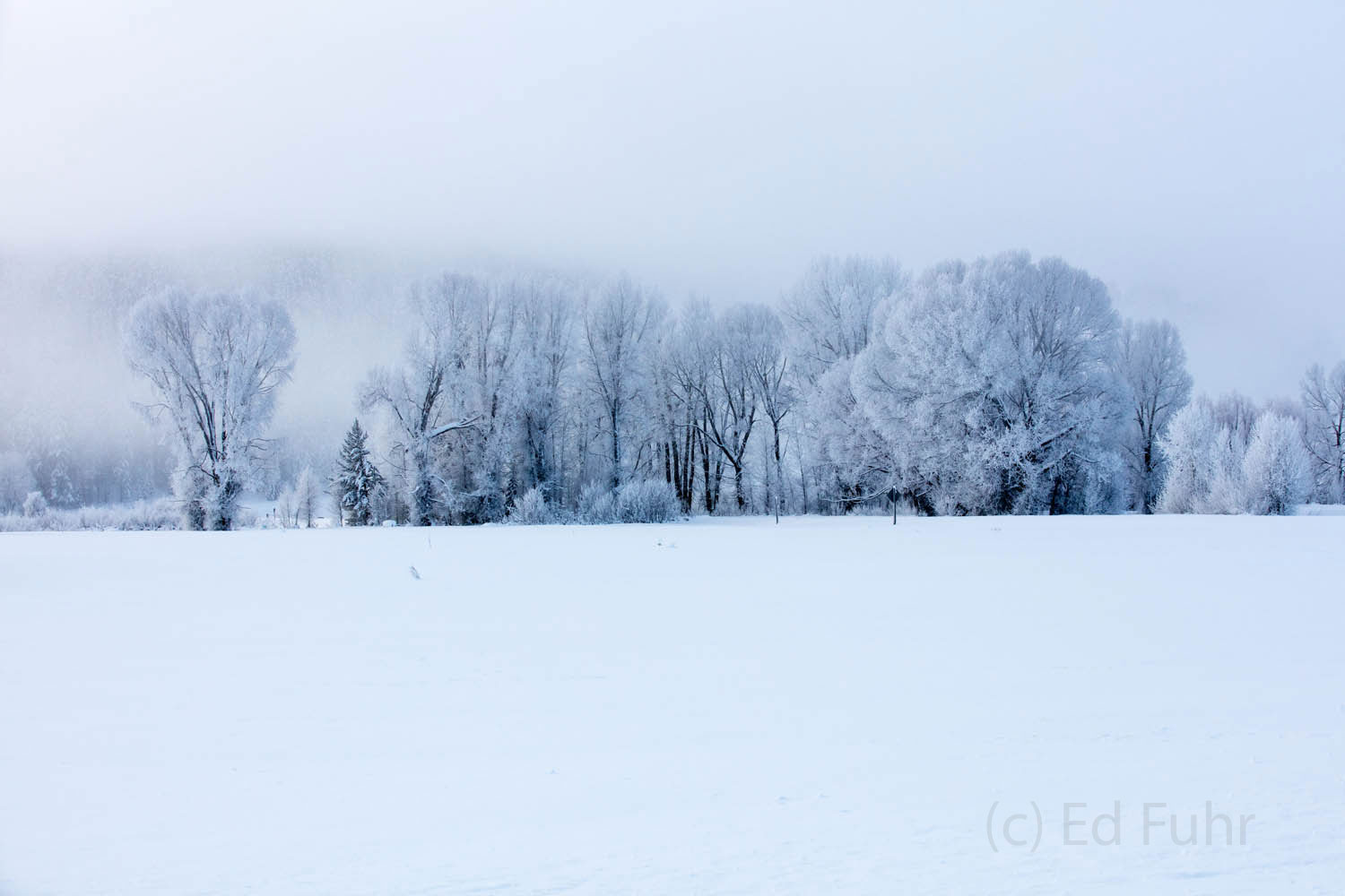 Baby It's Cold Outside Winter Frost