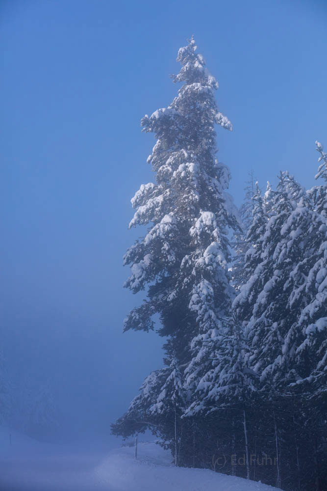 The Guardian Cold Road