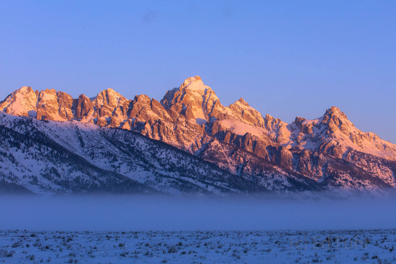 Winter Sunrise, 2016 Sunrise