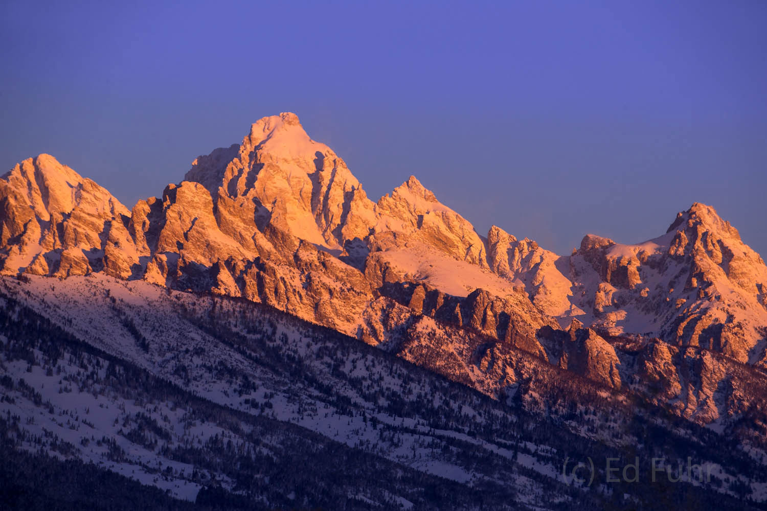 In minutes the first rays of dawn will descend the 13,776 foot peak of the Grand Teton.