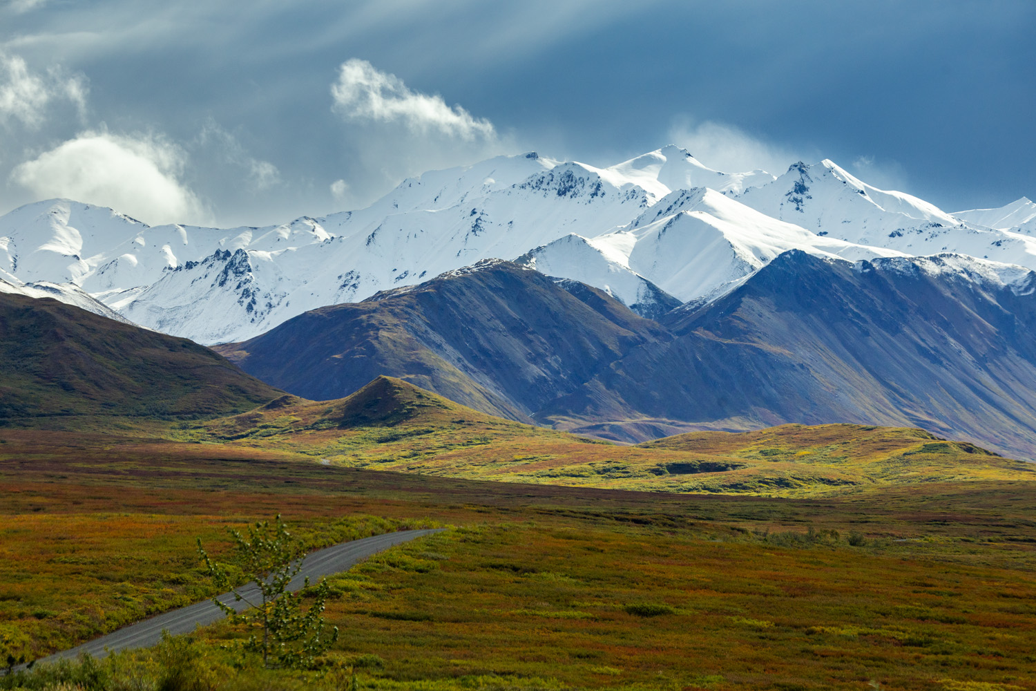 Road to Somewhere The Denali Park road slices through the tundra just north of the Alaskan Range.
