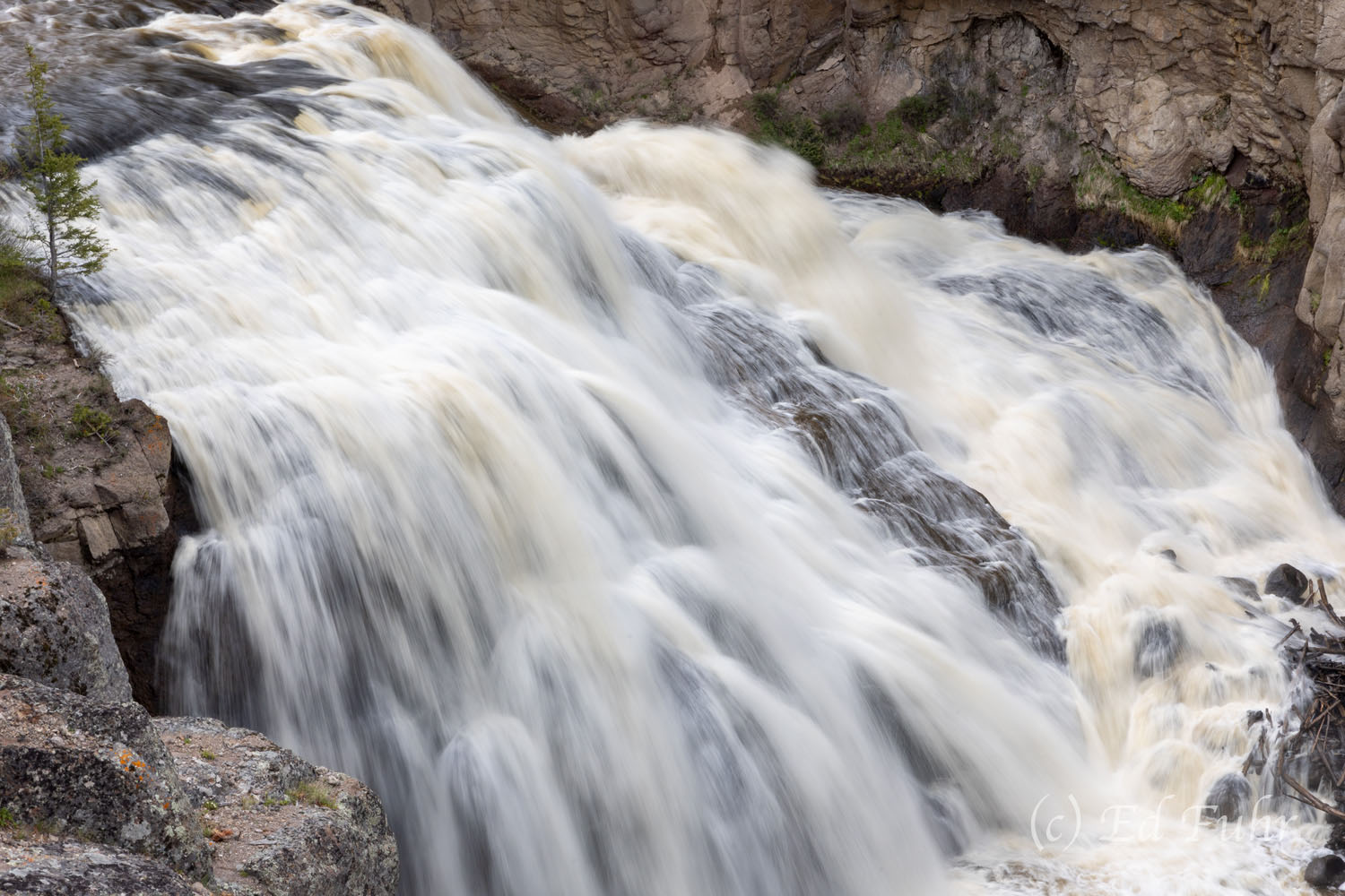 Gibbon Falls Gibbon Falls drops 84 feet over a remnant of the Yellowstone caldera rim. The caldera was created by a massive volcanic eruption...
