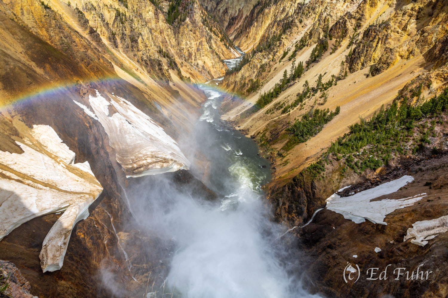 Yellowstone's Grand Canyon From the brink of the lower falls, the Grand Canyon is a study in color, rainbows and the large fields of snow that are slow...