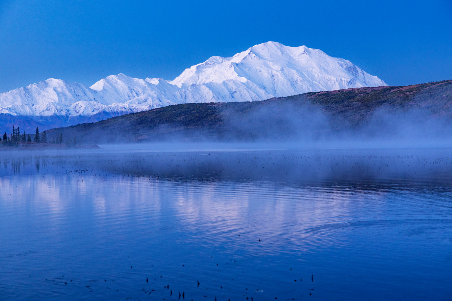 Blue Light Special The blue light provides the perfect contrast to the stunning white massif that is Denali.