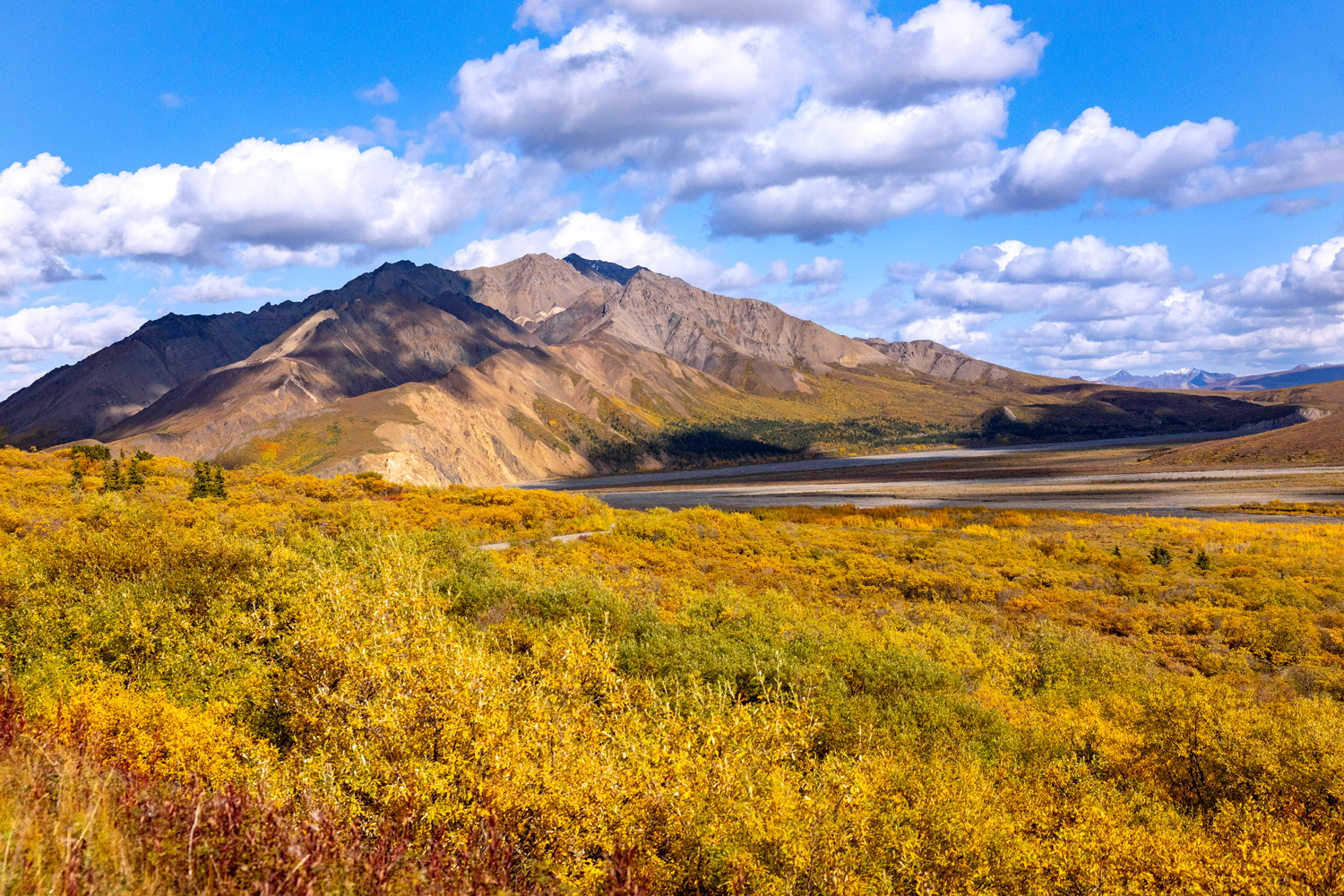 Polychrome Mountain Nearly 6000 feet tall, Polychrome Mountain sits just across the East Fork of the Toklat and affords some of the most popular...