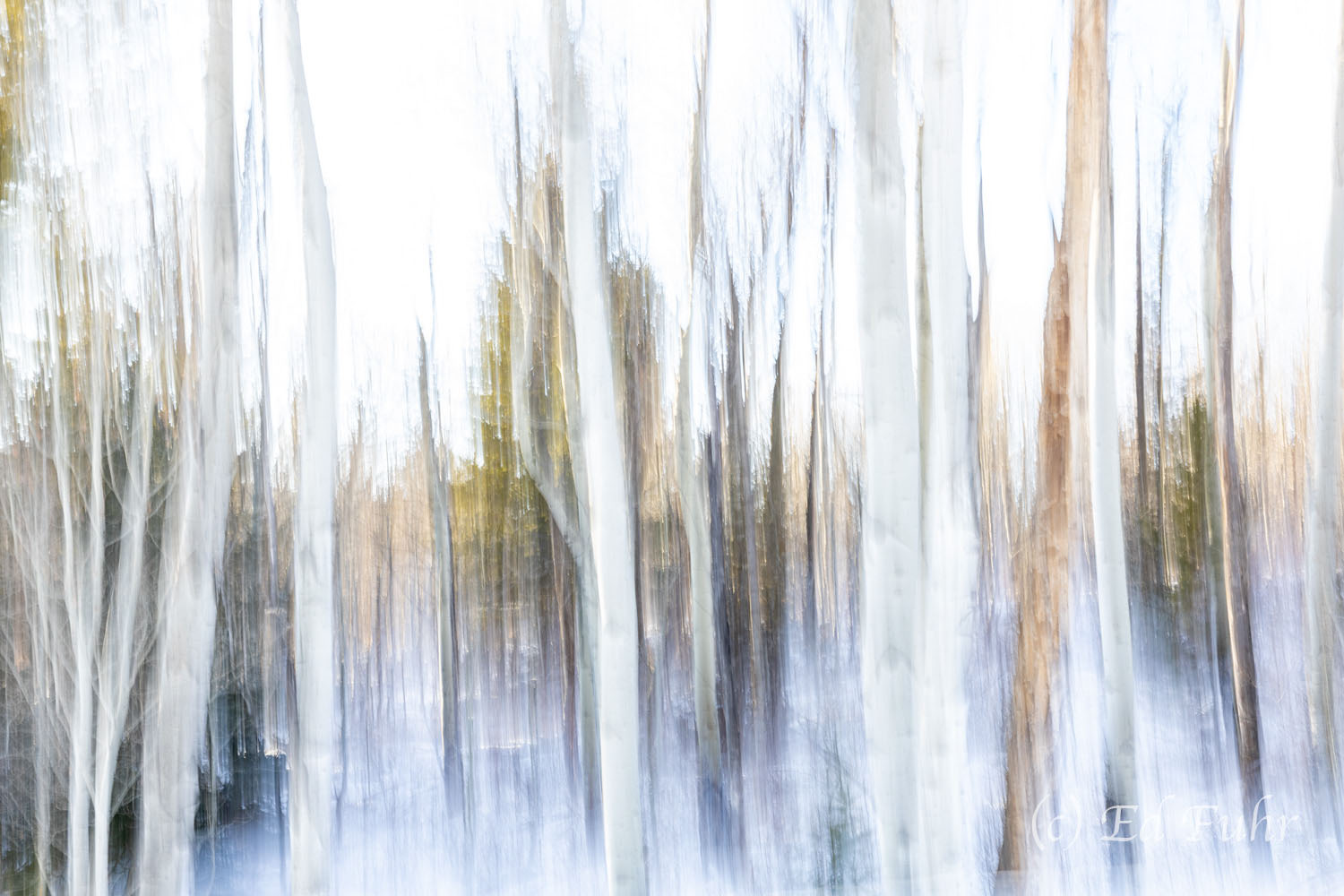 Winter Mood Winter Mood