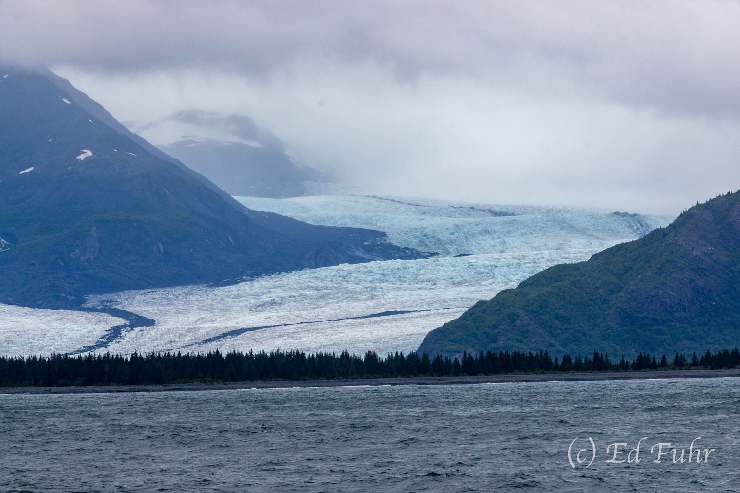 Frozen Highway Bear Glacier is the largest glacier in Kenai Fjords NP and is easily recognizable with its massive, winding ice tongue flowing...