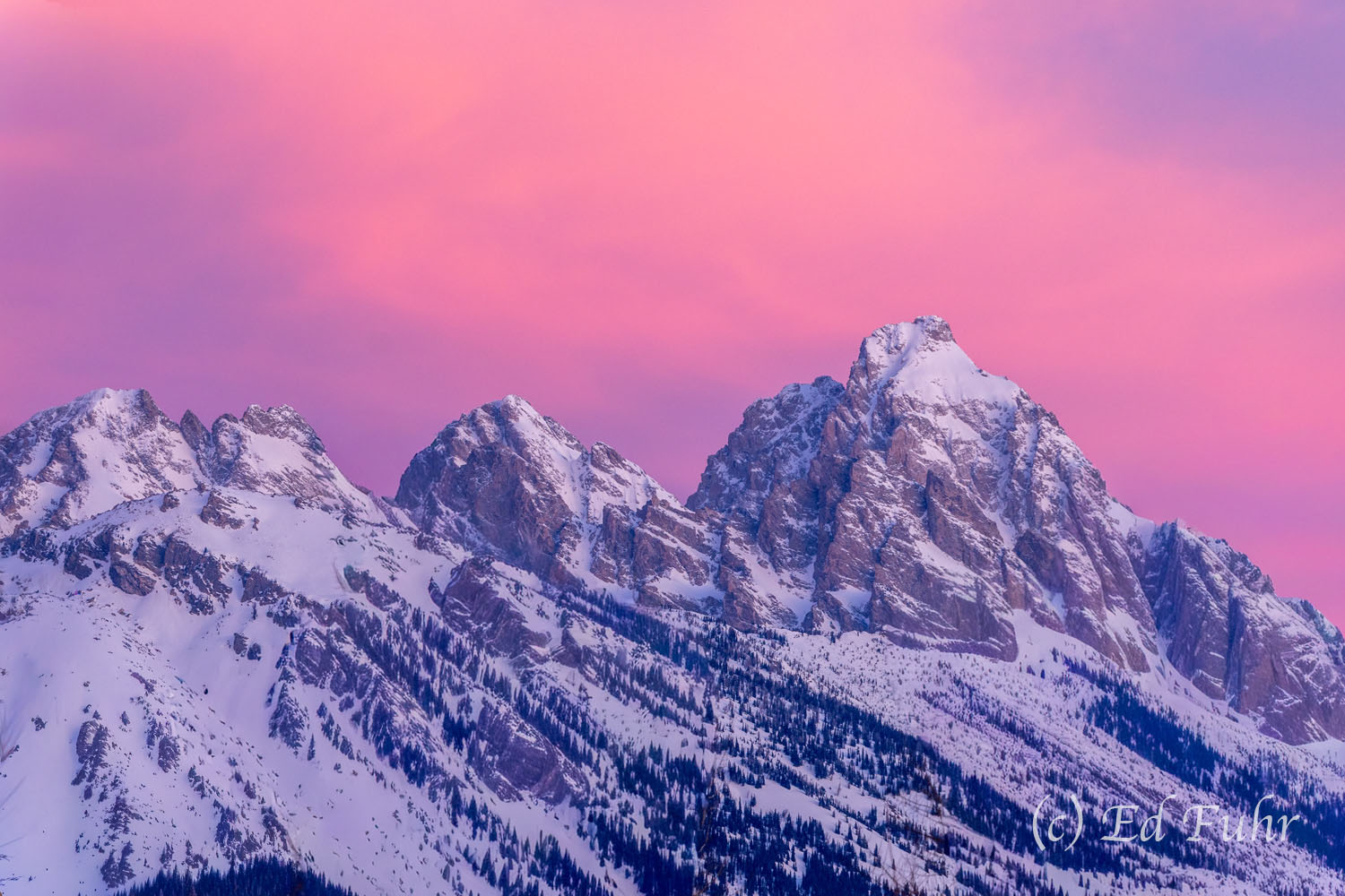 Alpenglow on the Tetons Winter often affords some of the most colorful sunrises and sunsets in the Tetons as a result of the lower angle of the sun and...