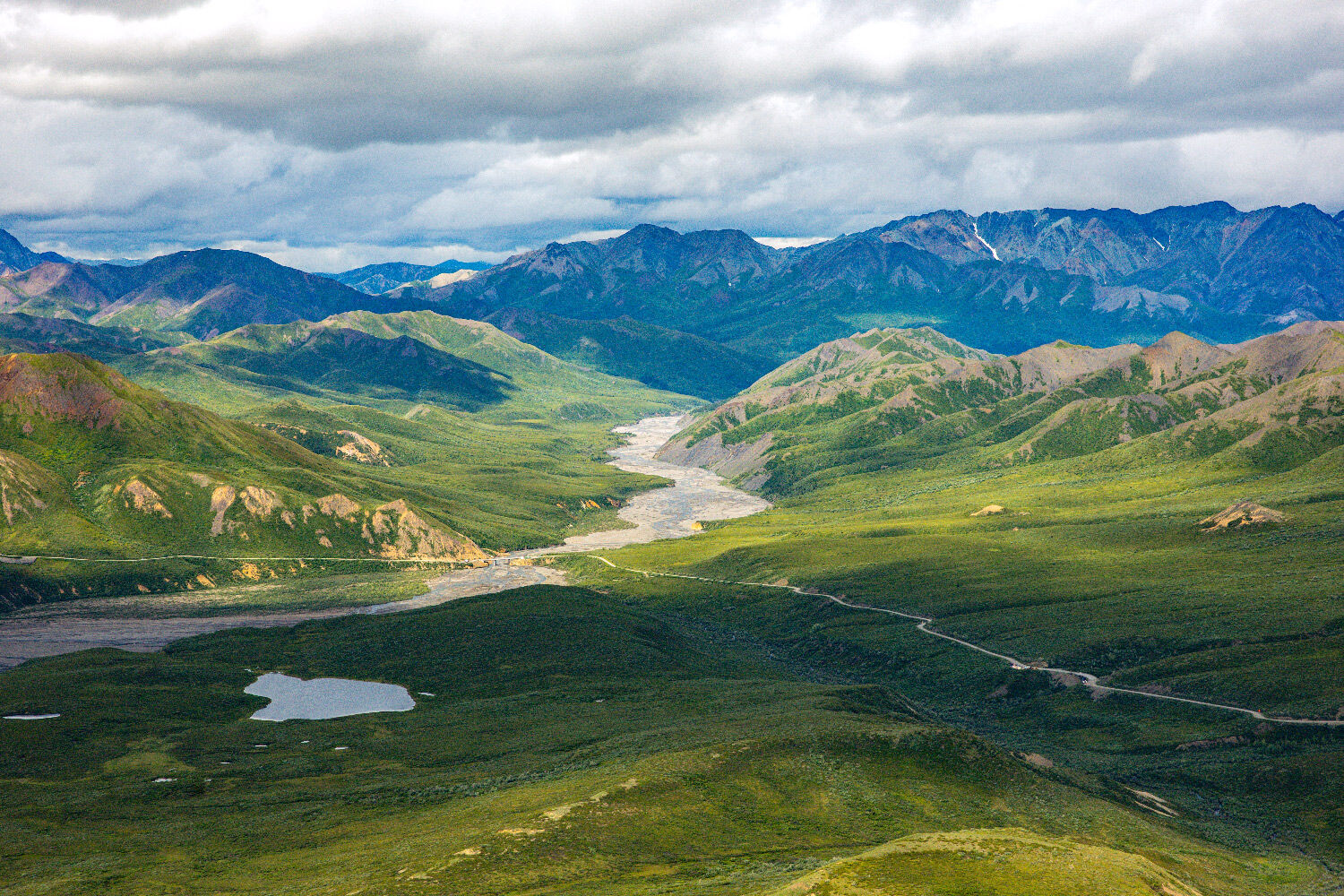 The Teklanika The braided light gray channel of the Teklanika River weaves north through the tundra, crossing the Park Road. A small...