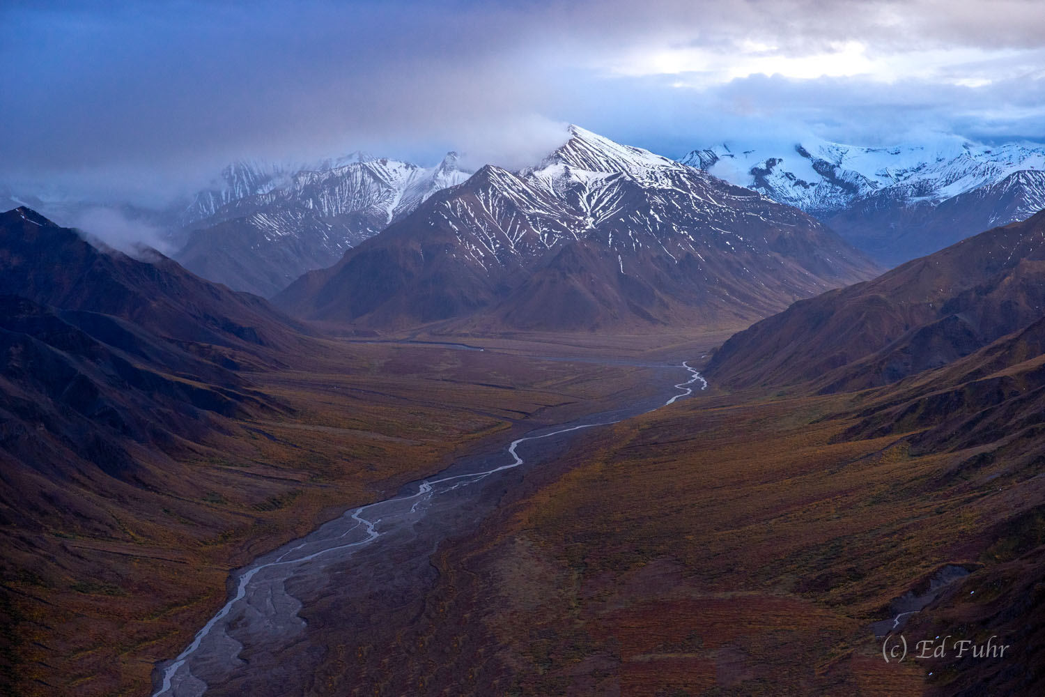 Cathedral Mountain rises in the distance above the draining waters of the Teklanika River.