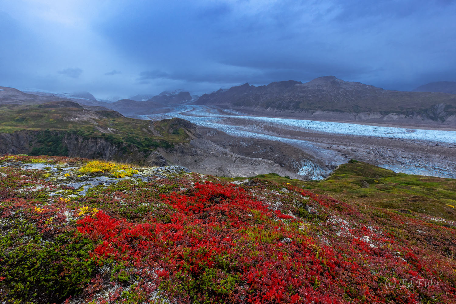 Trimble Glacier