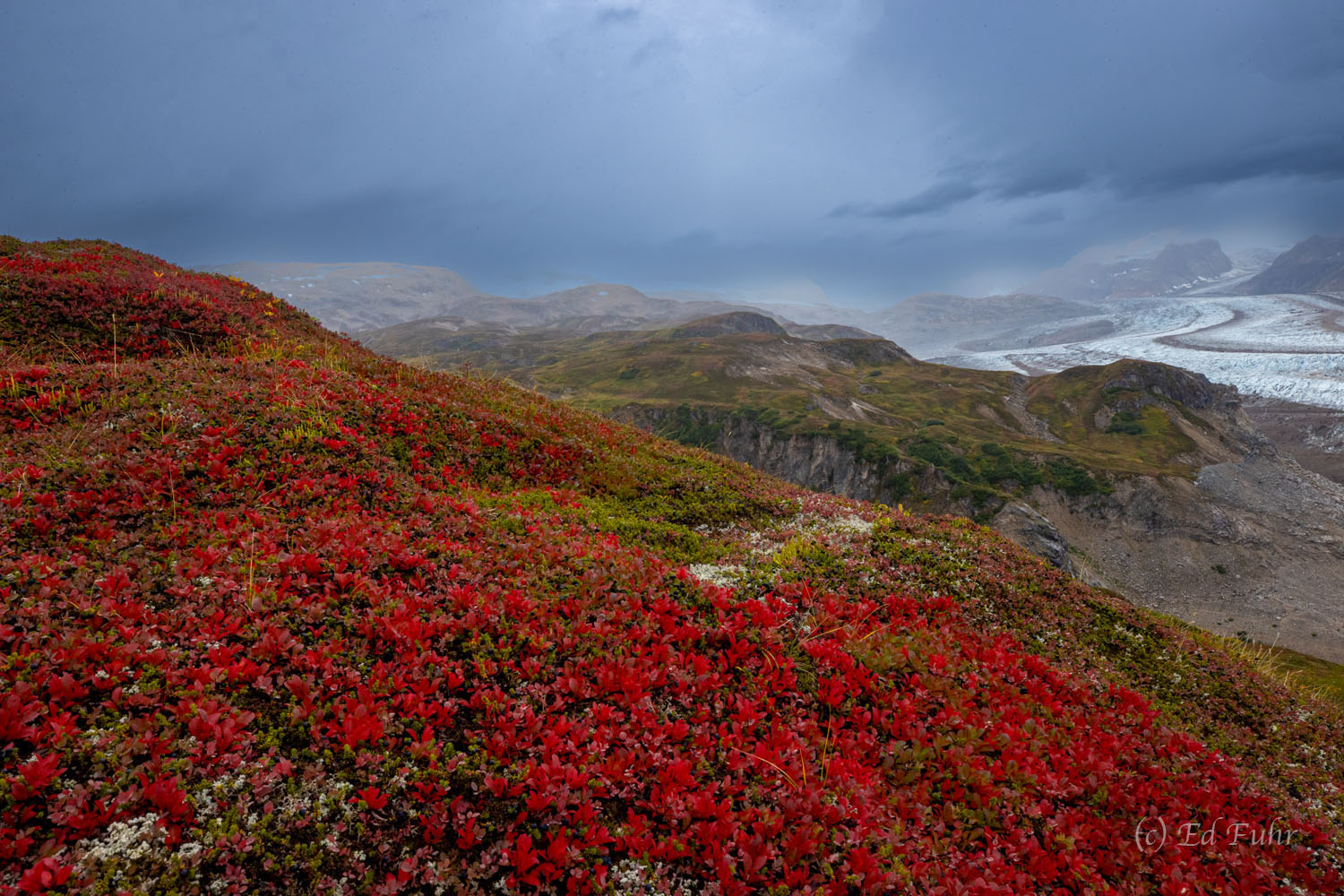 Red Carpet at Trimble Glacier