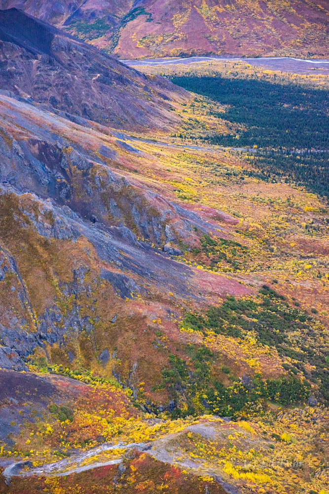 Denali, Alaska, 2021, aerial