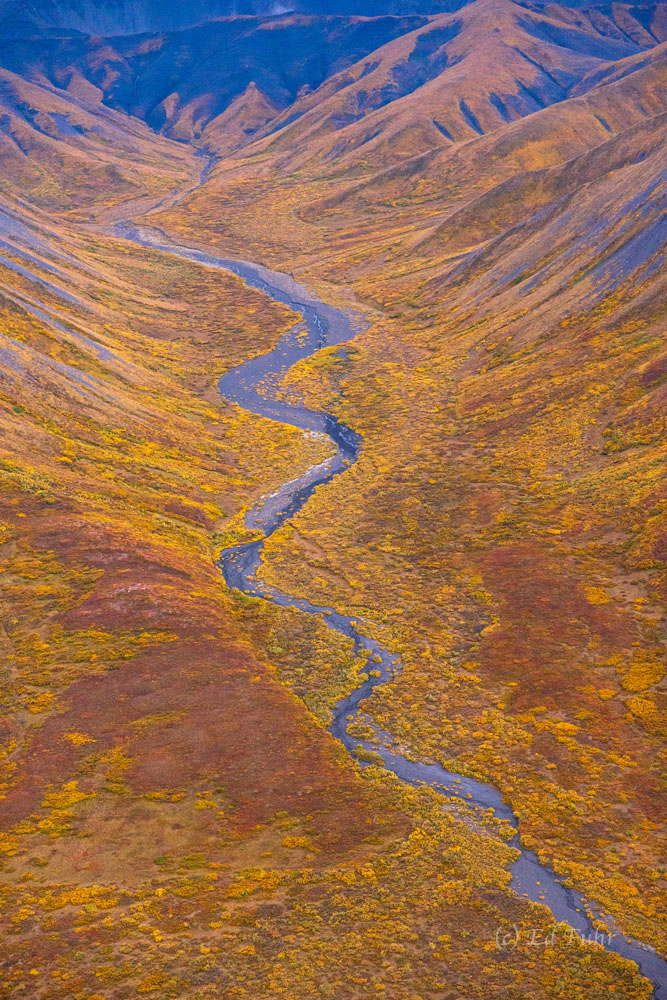 Denali, Alaska, 2021, aerial