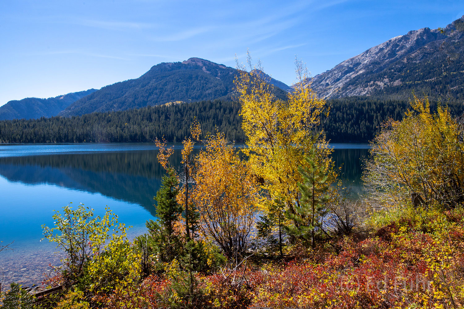 The shores of Phelps Lake have turned a vibrant red this late September afternoon.