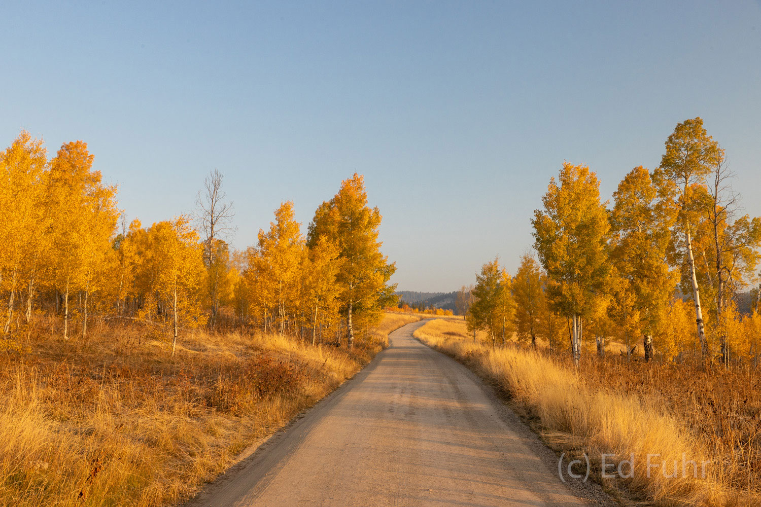 Pacific Sublime The open expanse of Pacific Creek beckons enroute to Two Open lake. On this early autumn day the tawny bronze and yellows of...