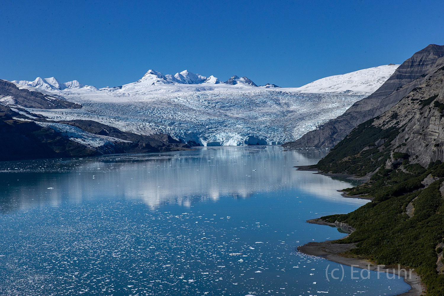 Surrounded by the giant St. Elias mountain range, Icy Bay is a collection of icebergs.