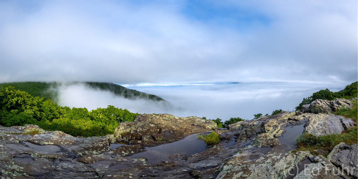 Last night's storms have given way to a new dawn.  The final trailing remnants of cloud and fog rise from the valley below, flowing...