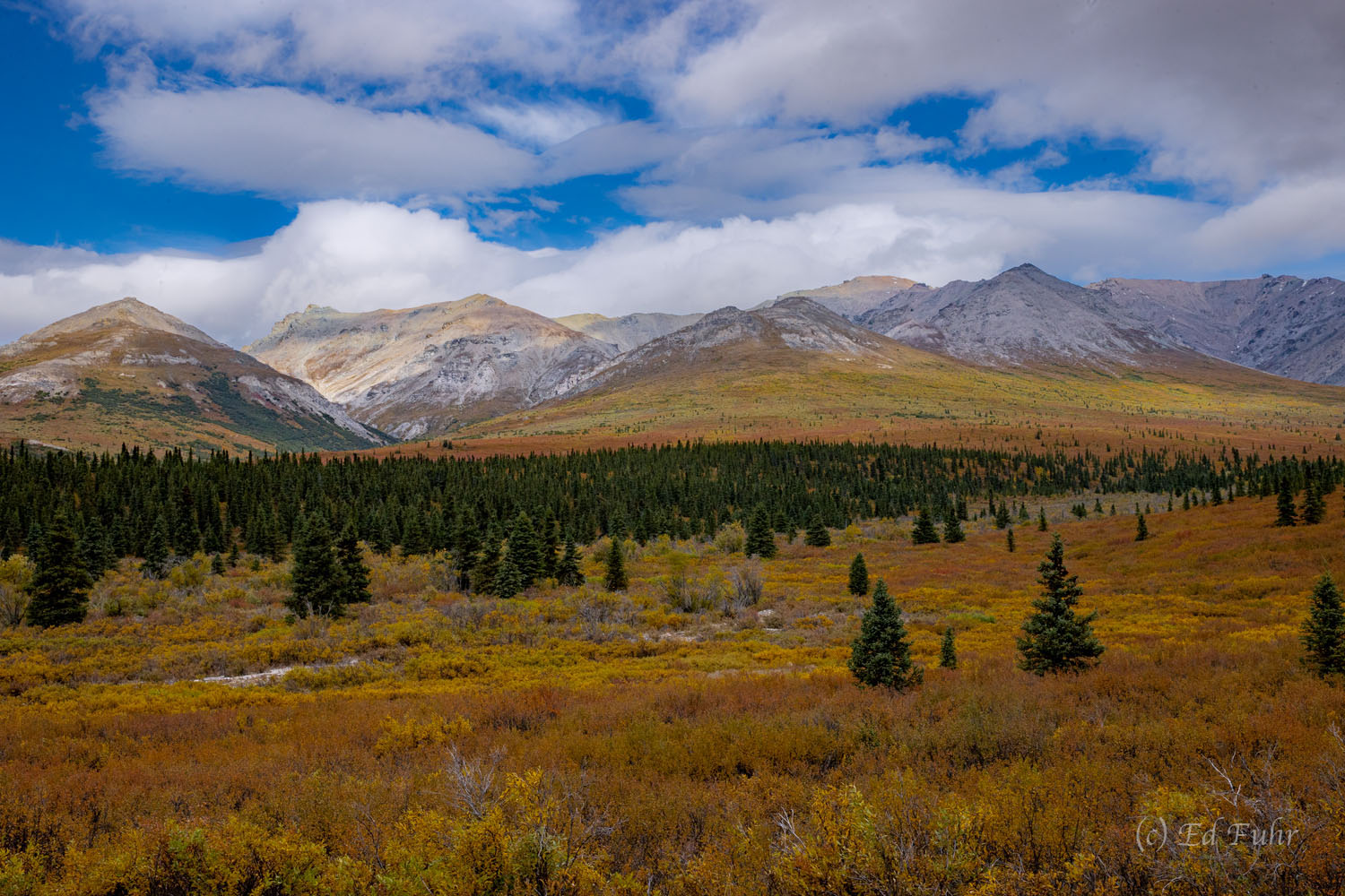 The stunning colors of autumn tundra, blue skies and white clouds provide a mesmerizing entrance into Denali National Park, near...