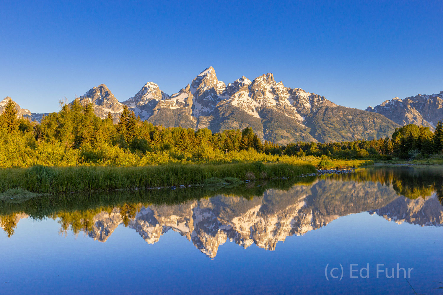 Summer at Schwabacher Summer Morning