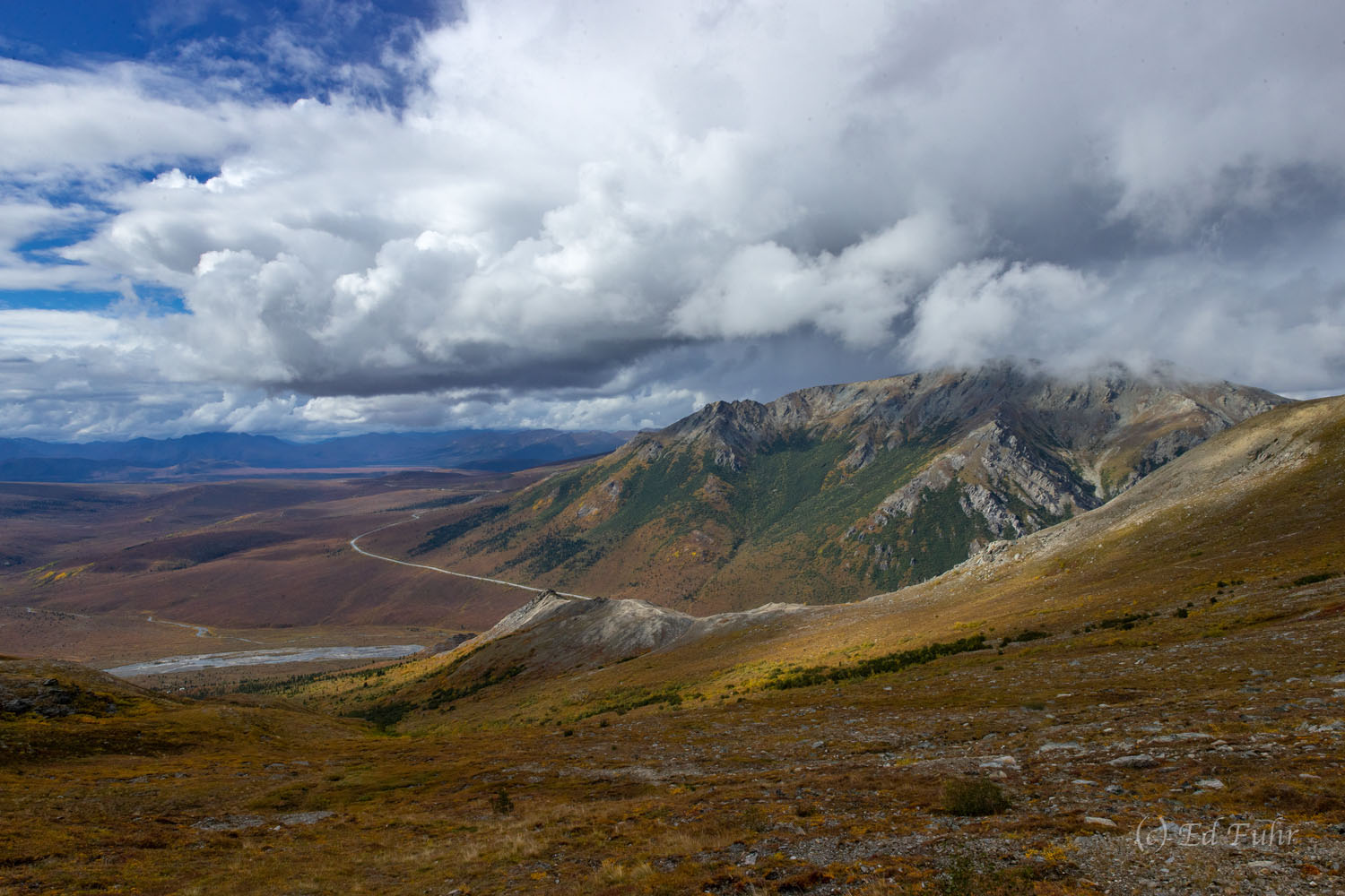 The stunning Savage Alpine Trail culminates in a 270 degree vista of the Denali Valley just east of Teklanika.