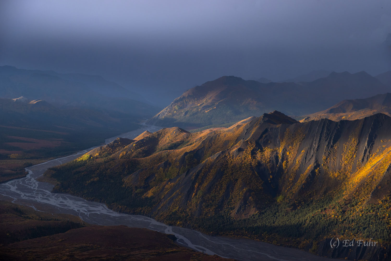 A few rays of final light pierce the arriving gloom of yet another storm in Denali National Park.