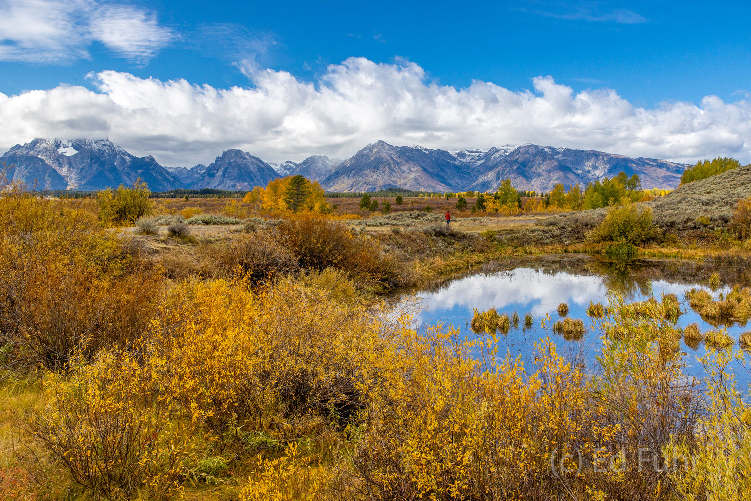 Remembering You Surrounded by fall's aspen, a pond reflects in Willow Flats. Aptly named, this "Moose Pond" frequently home to moose.