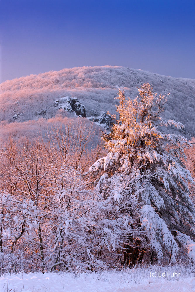 Stony Man Spectacle With the warm glow of the rising sun, the fading colors of dawn and deep snow, Little Stony Man Mountain is a moving spectacle...
