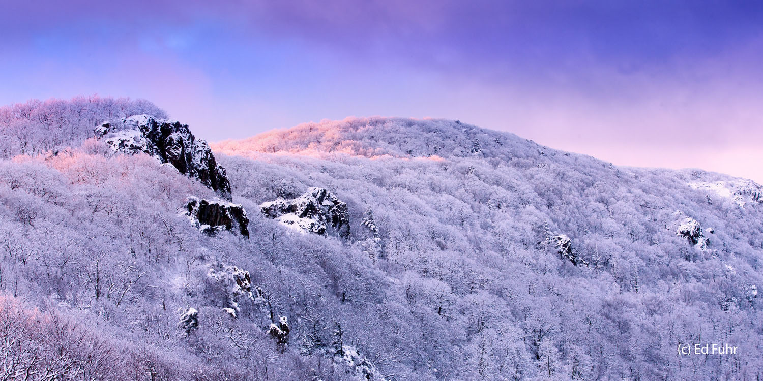 Stony Man Mountain Panorama in WInter Just before sunrise, the wintry peaks of Little Stony Man Mountain reach to the purple pastels of a breaking dawn.