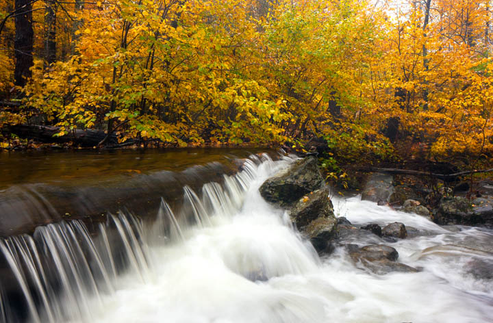 There are few more magical experiences than an autumn hike to the numerous waterfalls along the Whiteoak Canyon trail during...