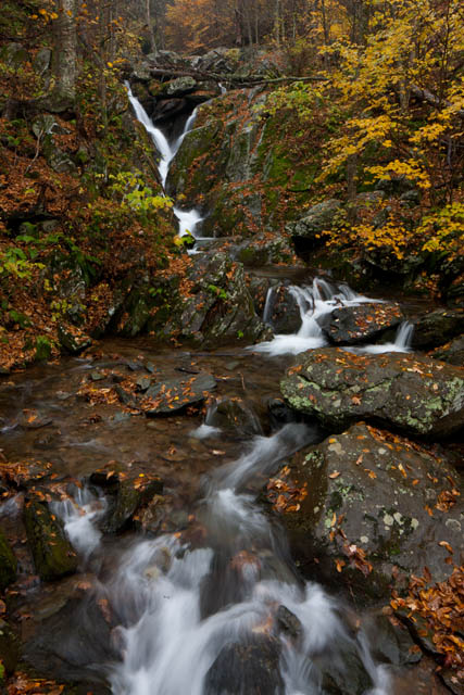 Autumn at Dark Hollow Gorge The waters may have diminished but the fall foliage that adorns this gorge below Dark Hollow Falls makes this a serene and beautiful...