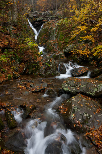 The waters may have diminished but the fall foliage that adorns this gorge below Dark Hollow Falls makes this a serene and beautiful...