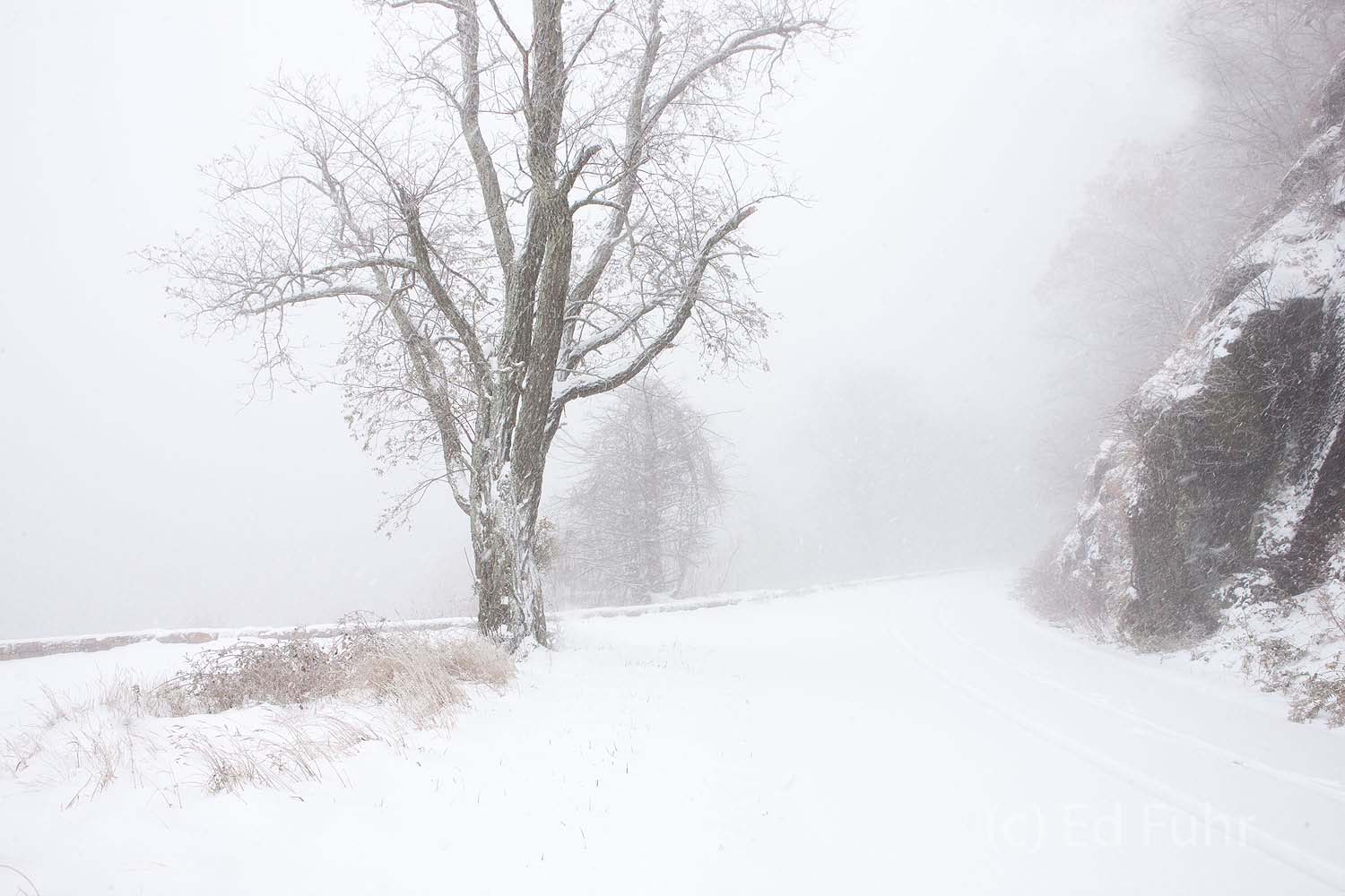 Skyline Drive in Winter A long hike through the deepenig snow to Baldface Mountain Overlook is a study in serenity and the awareness that comes from...