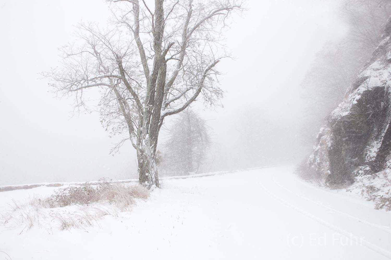 A long hike through the deepenig snow to Baldface Mountain Overlook is a study in serenity and the awareness that comes from...