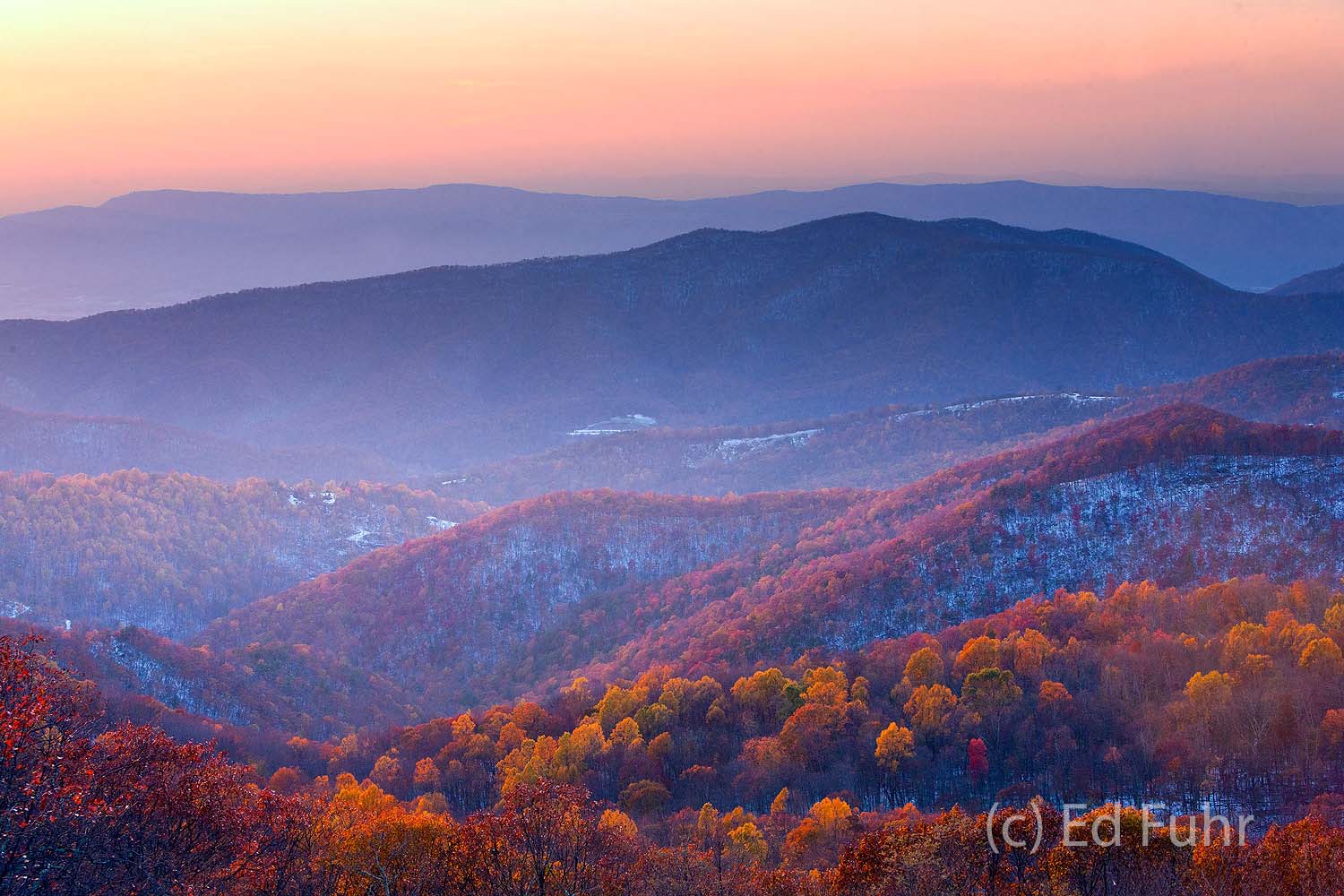 Autumn's colorful foliage clings to the trees in the valleys and slopes west of the Point Overlook below Shenandoah's peaks...