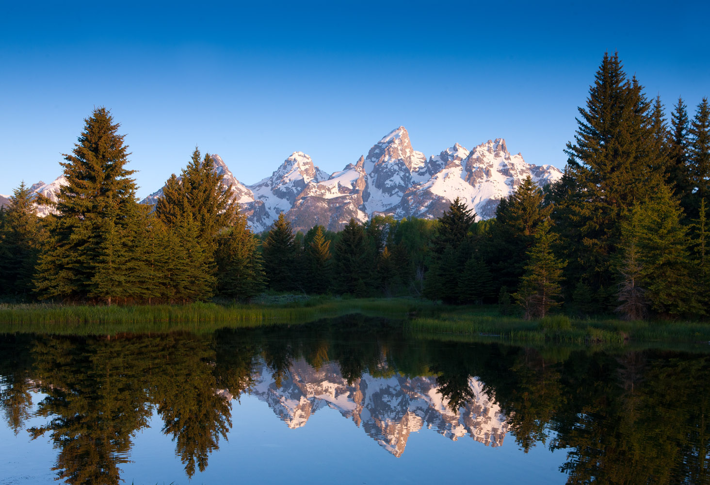 Few places are more magical to watch sunrise than the beaver ponds at Schwabacher's Landing. &nbsp;Winter's deep snows provide...