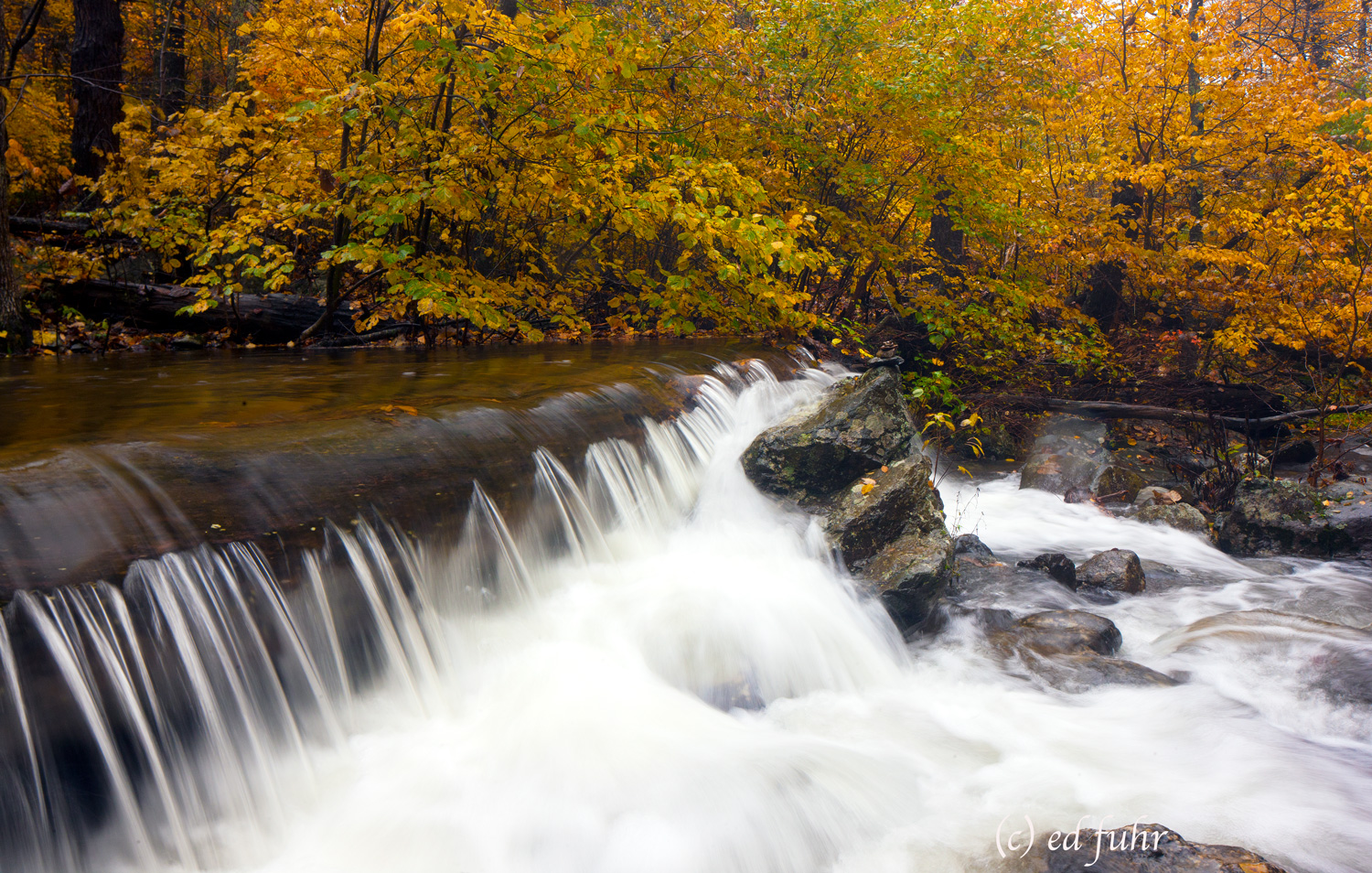 There are few more magical experiences than an autumn hike to the numerous waterfalls along the Whiteoak Canyon trail during...